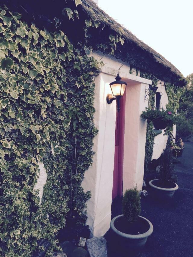 Teresas Cottage Donegal Town Екстериор снимка